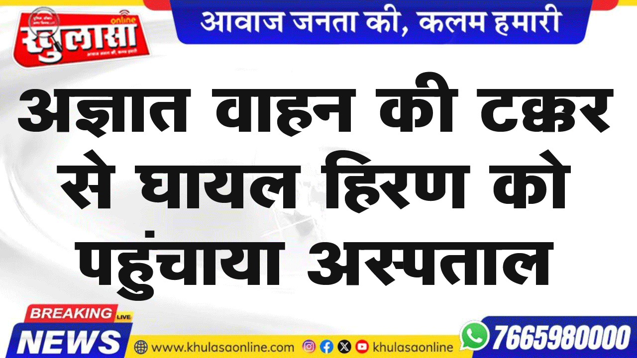 अज्ञात वाहन की टक्कर से घायल हिरण को पहुंचाया अस्पताल