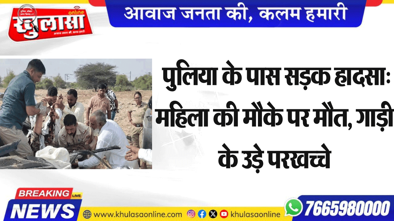 पुलिया के पास सडक़ हादसा: महिला की मौके पर मौत, गाड़ी के उड़े परखच्चे
