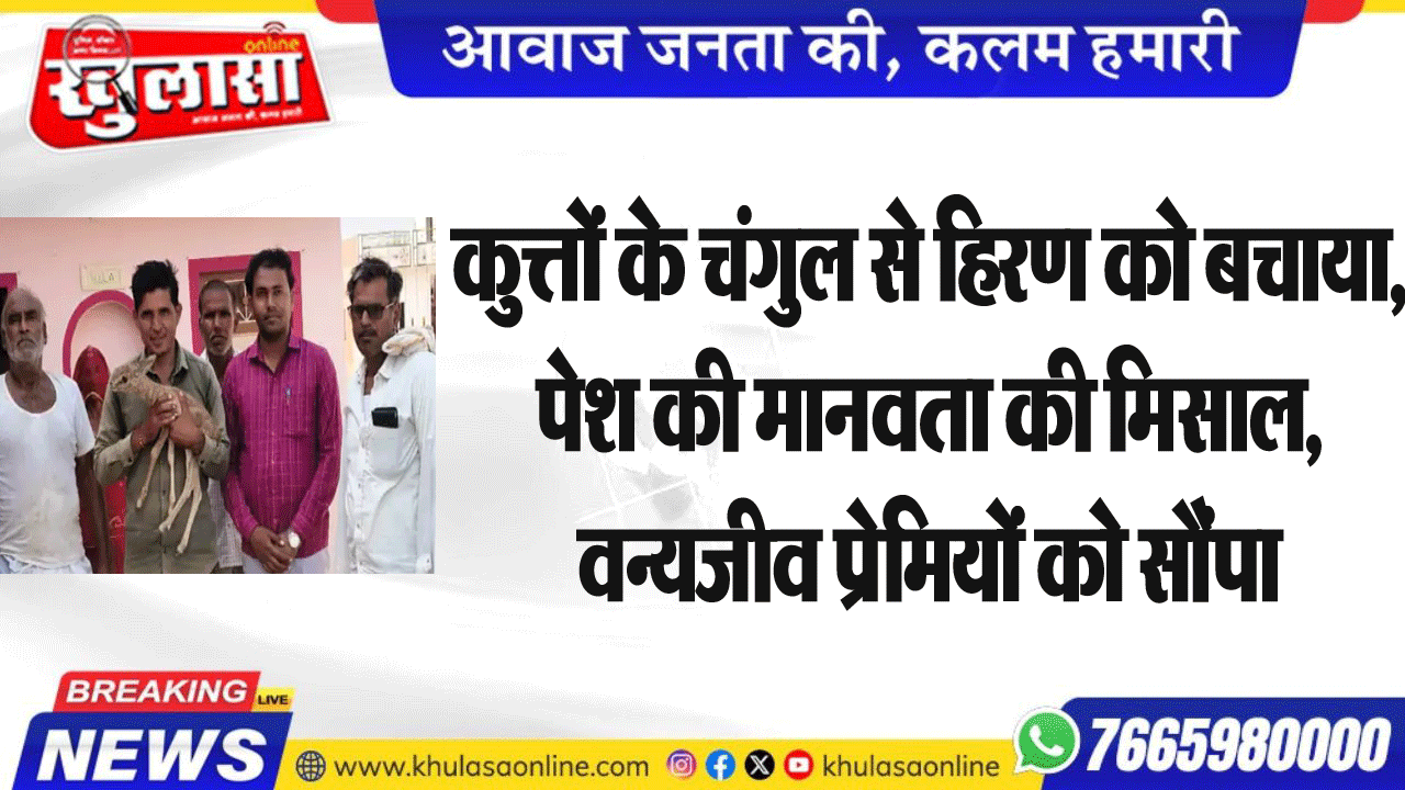 कुत्तों के चंगुल से हिरण को बचाया,पेश की मानवता की मिसाल, वन्यजीव प्रेमियों को सौंपा