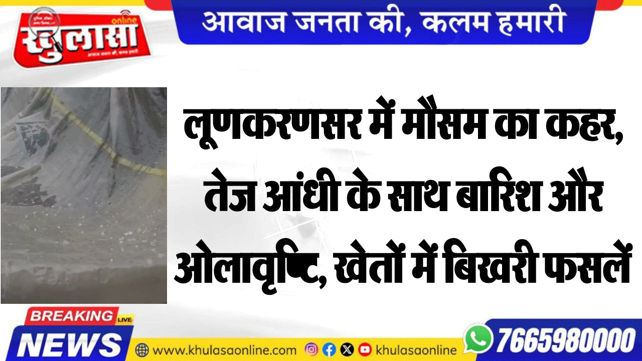लूणकरणसर में मौसम का कहर, तेज आंधी के साथ बारिश और ओलावृष्टि, खेतों में बिखरी फसलें