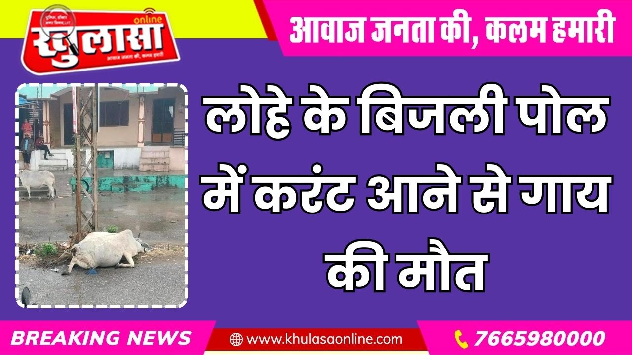 लोहे के बिजली पोल में करंट आने से गाय की मौत